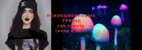 индика Алексеевка