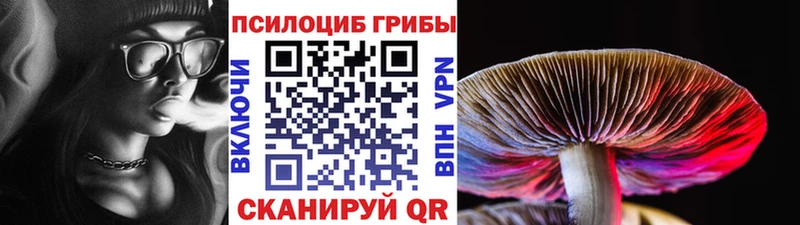 hydra   нарко площадка Telegram  Хотьково  Галлюциногенные грибы ЛСД  закладка 